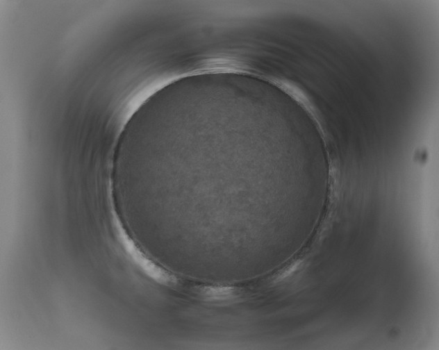 X0000111471431200907131508