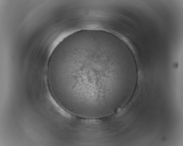 X0000111471432200907131508