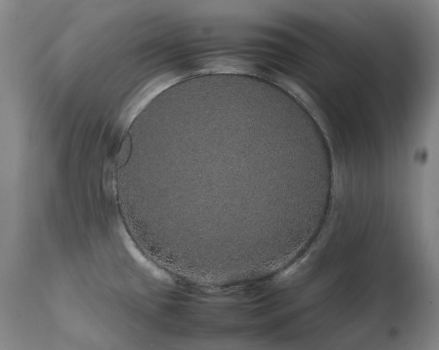 X0000111471433200907131508