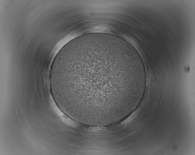X0000111471434200907131508