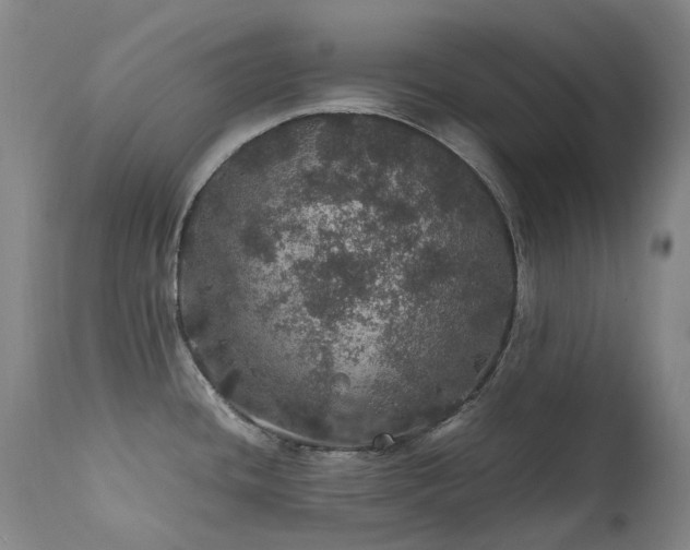 X0000111471436200907131508