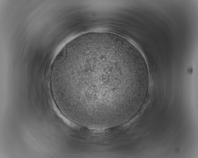X0000111471437200907131508