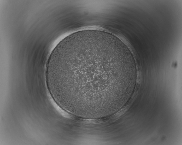 X0000111471438200907131508