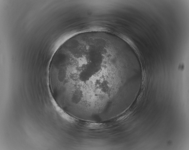 X0000111471439200907131508