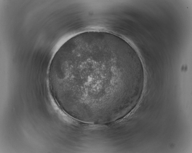 X0000111471440200907131508