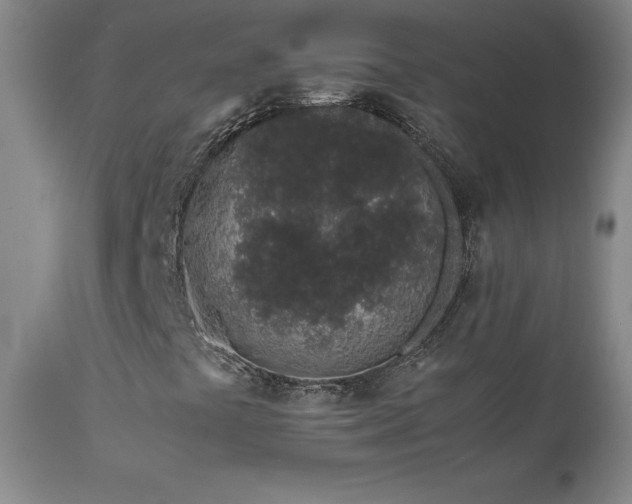 X0000111471441200907131507