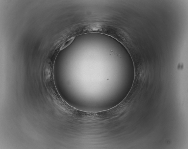 X0000111471442200907131507
