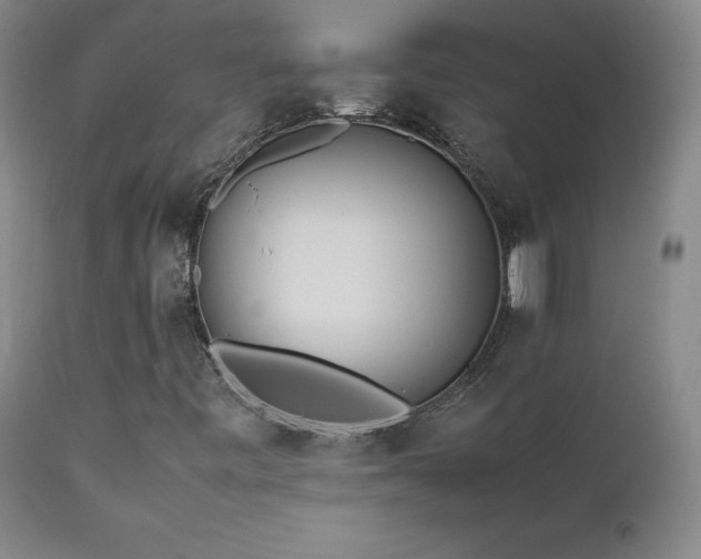 X0000111471443200907131507