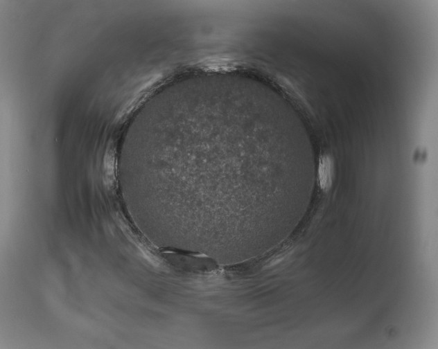 X0000111471444200907131507