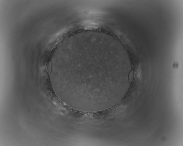 X0000111471445200907131507