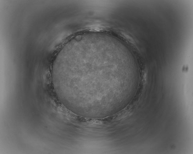 X0000111471446200907131507