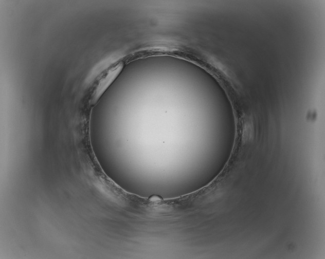 X0000111471448200907131507