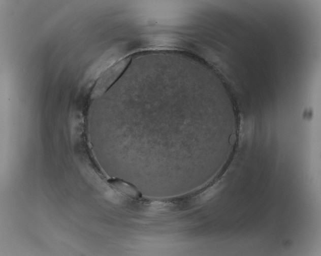 X0000111471449200907131507