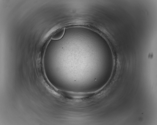 X0000111471450200907131507