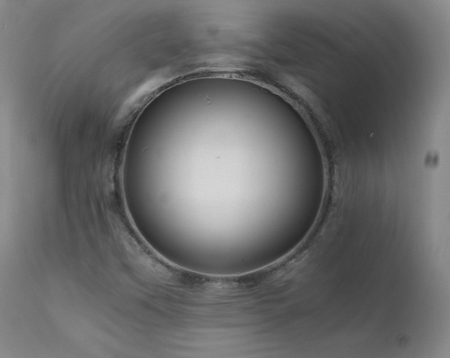 X0000111471451200907131507