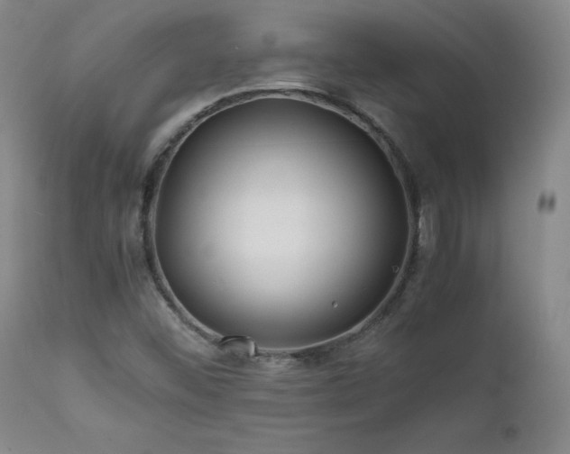 X0000111471452200907131507
