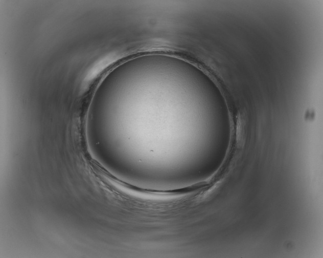 X0000111471453200907131507