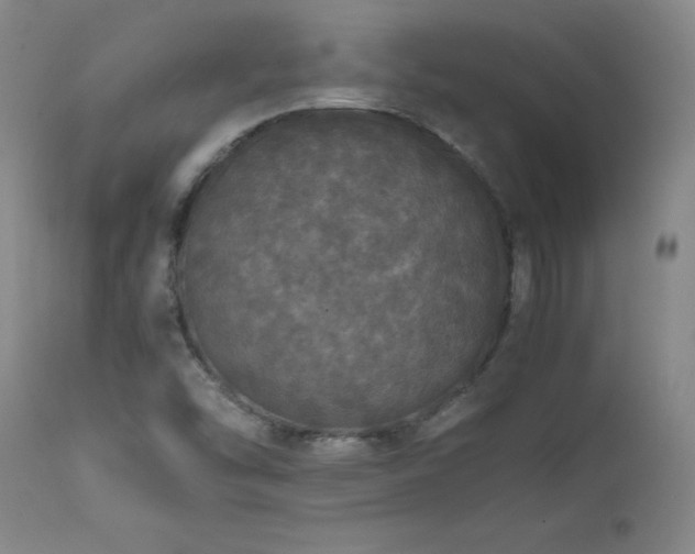 X0000111471454200907131507