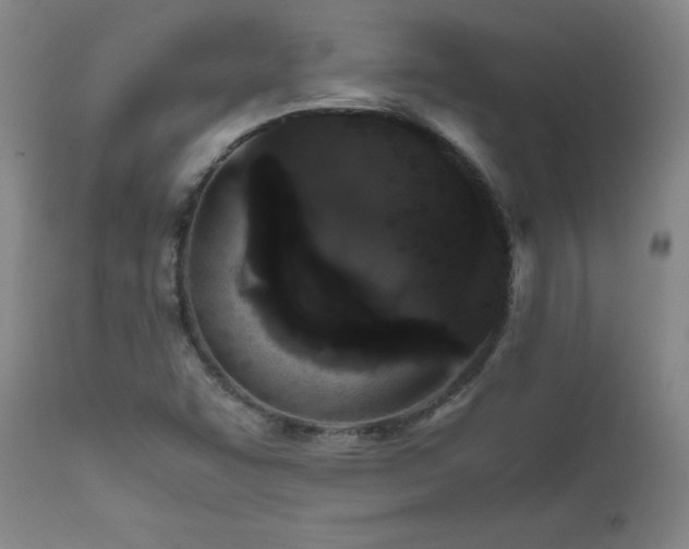 X0000111471455200907131507