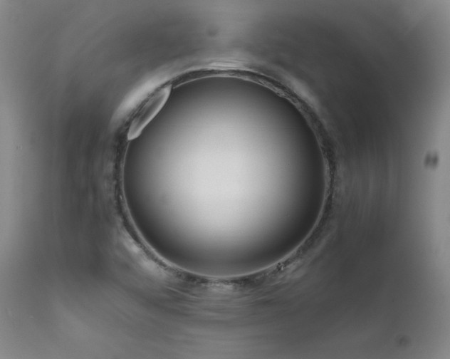 X0000111471456200907131507