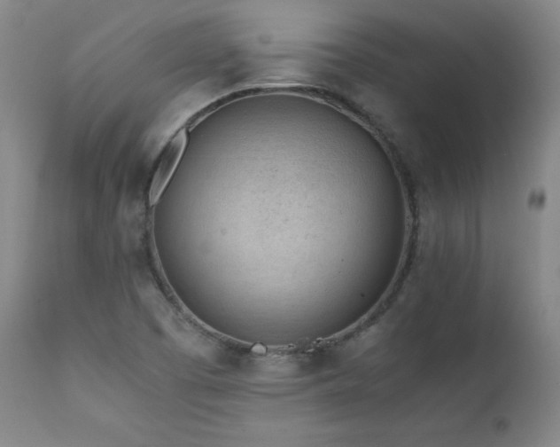 X0000111471457200907131507