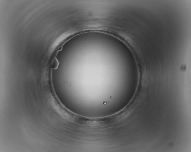 X0000111471458200907131507