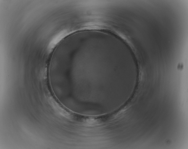 X0000111471459200907131507