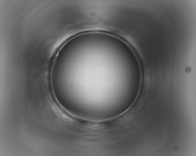 X0000111471460200907131507