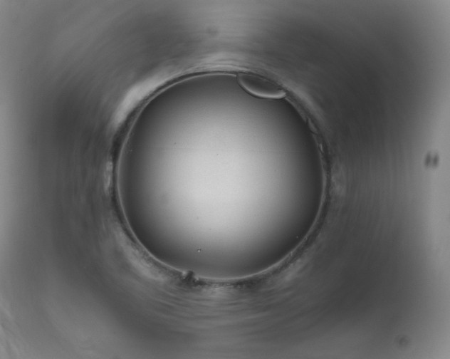 X0000111471461200907131507