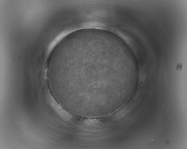 X0000111471462200907131507