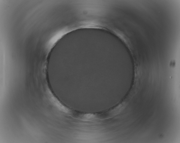 X0000111471463200907131507