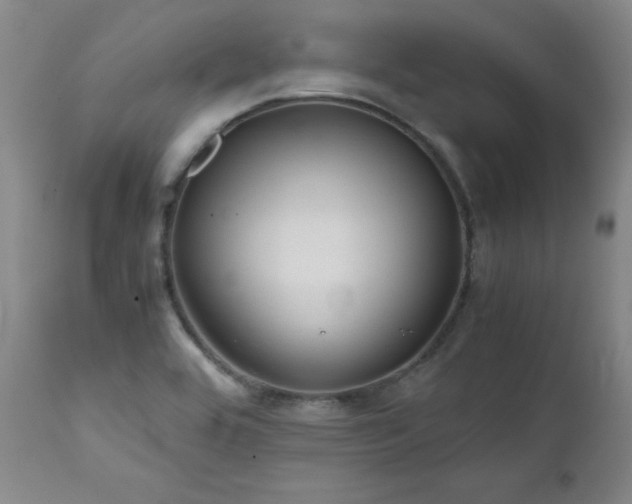 X0000111471464200907131507