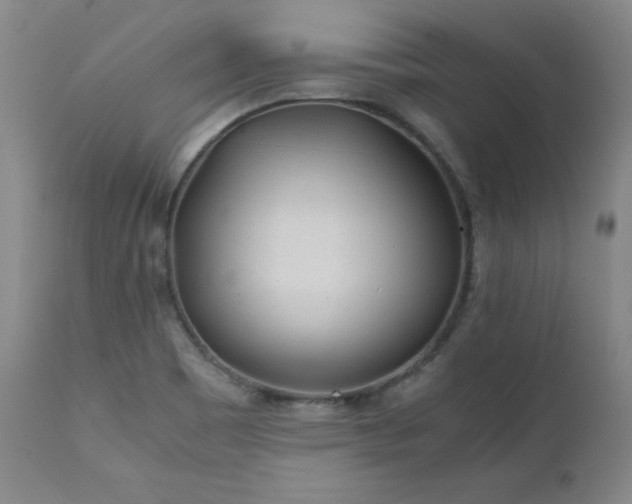 X0000111471465200907131507