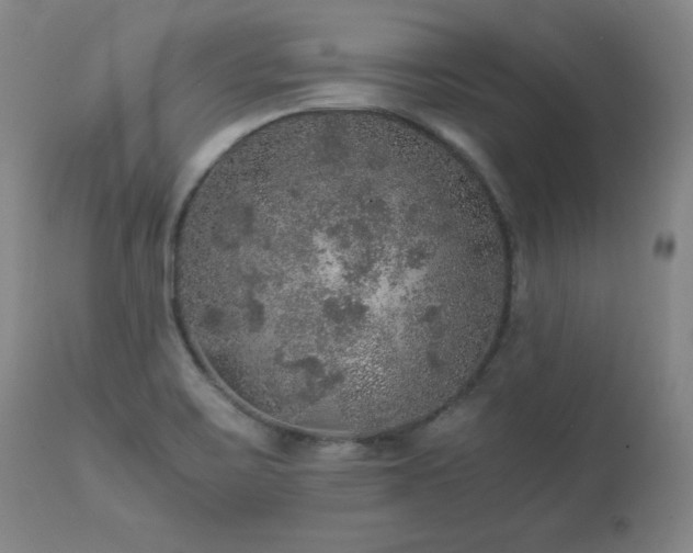 X0000111471467200907131507
