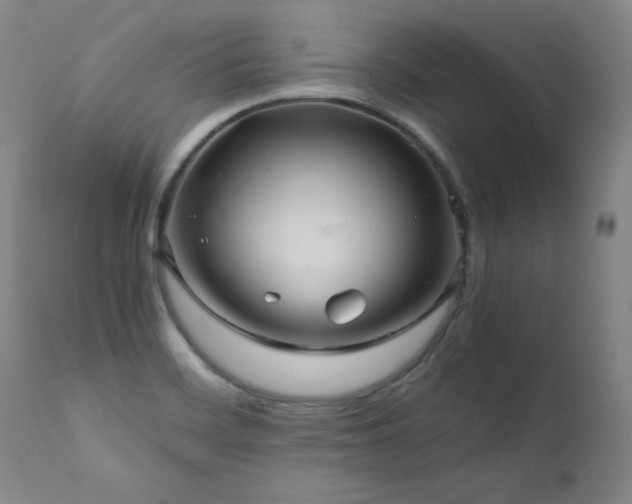 X0000111471468200907131507