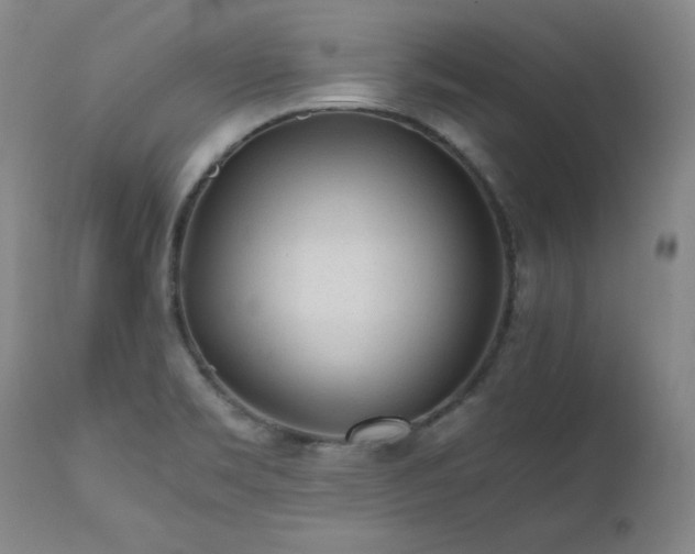 X0000111471469200907131507