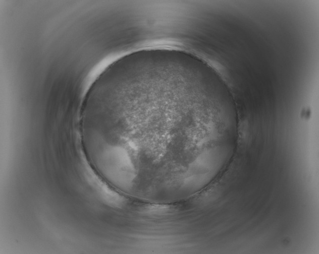 X0000111471470200907131507