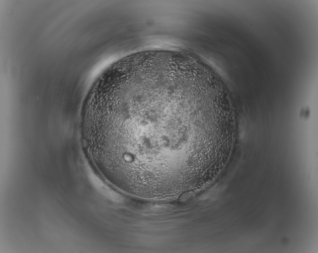 X0000111471471200907131507
