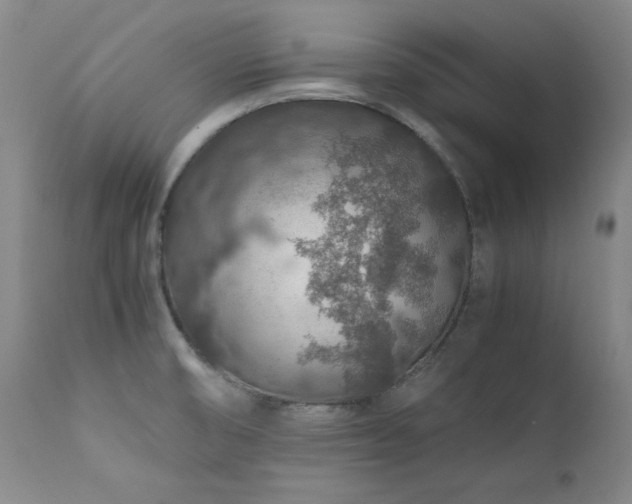 X0000111471474200907131507