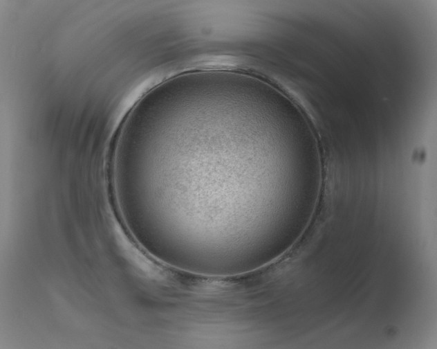 X0000111471475200907131507