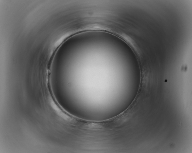 X0000111471476200907131507