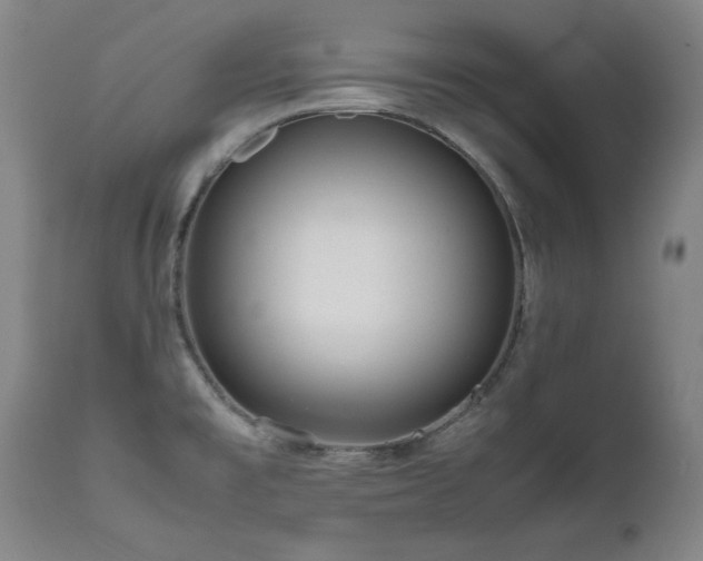 X0000111471477200907131507