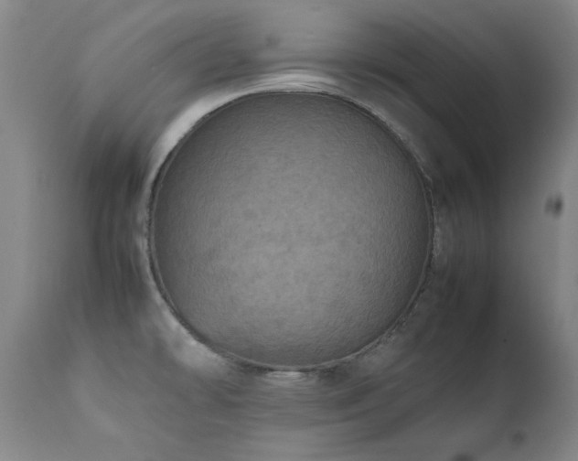 X0000111471478200907131507
