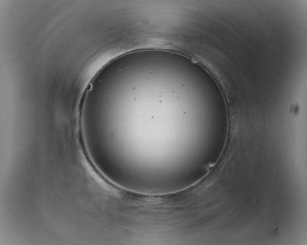 X0000111471479200907131507