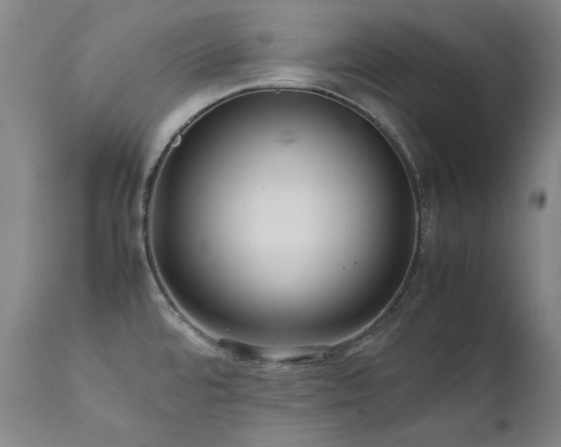 X0000111471480200907131507