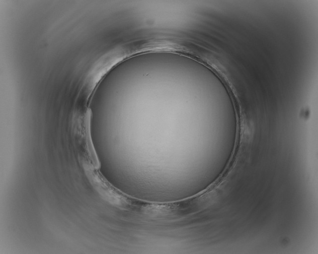X0000111471481200907131507
