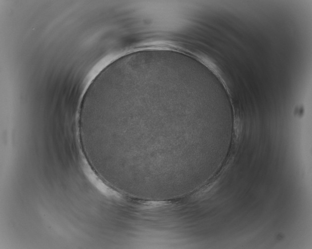 X0000111471482200907131507