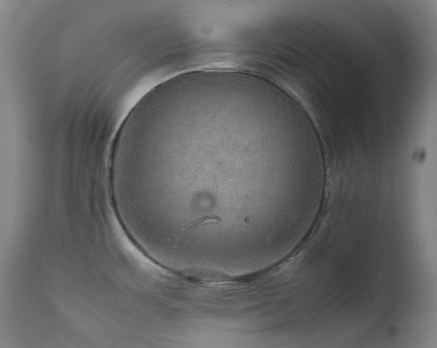 X0000111471483200907131507