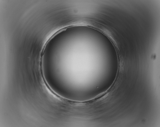 X0000111471484200907131507