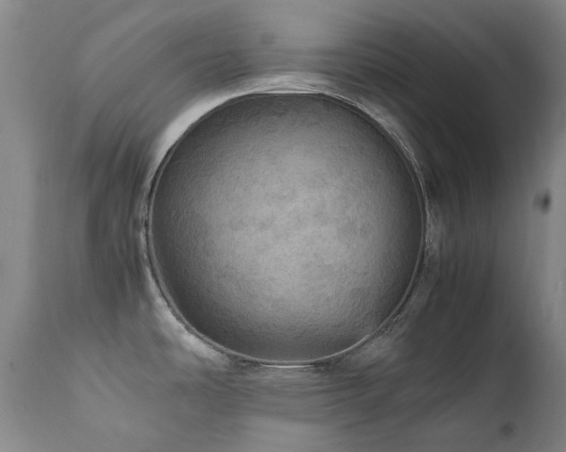 X0000111471486200907131507